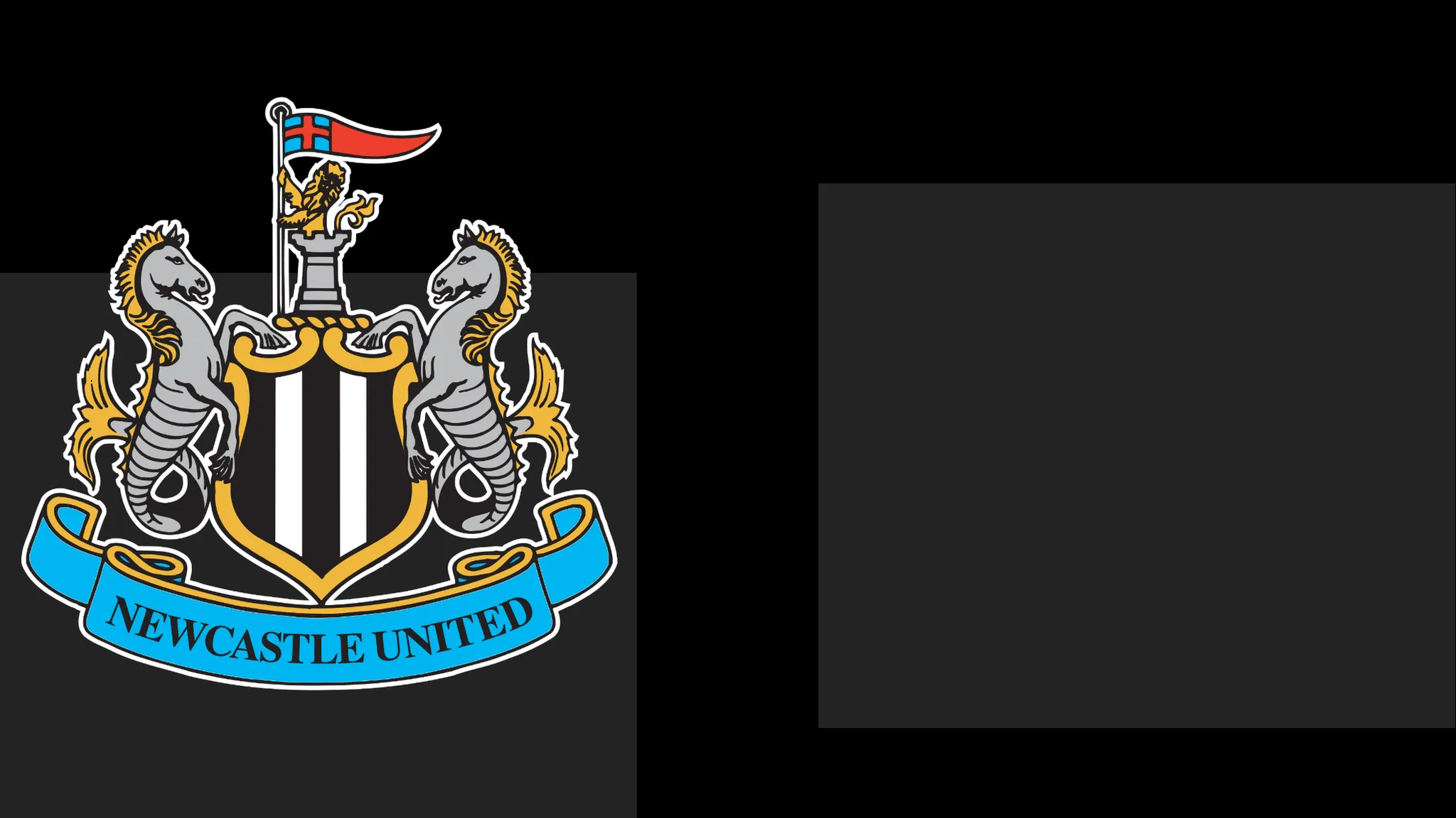 NUFC Issue Statement of Regret to Fans Amid Season Ticket Controversy