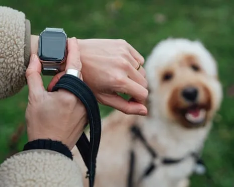 The Honest Scoop About Smartwatches? Living Is Better Lacking a Bossy Gadget on Your Wristwear